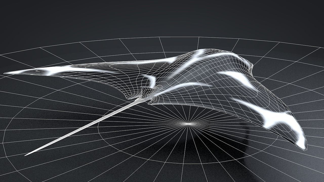 Manta Ray  Low-poly 3D model_32