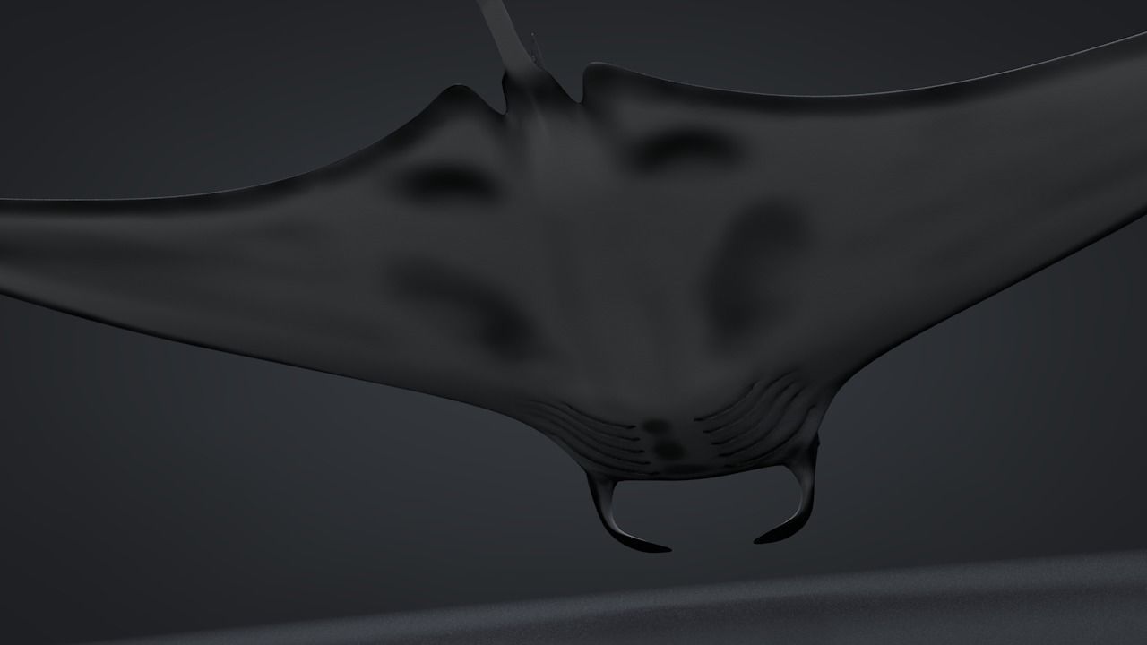 Manta Ray  Low-poly 3D model_12