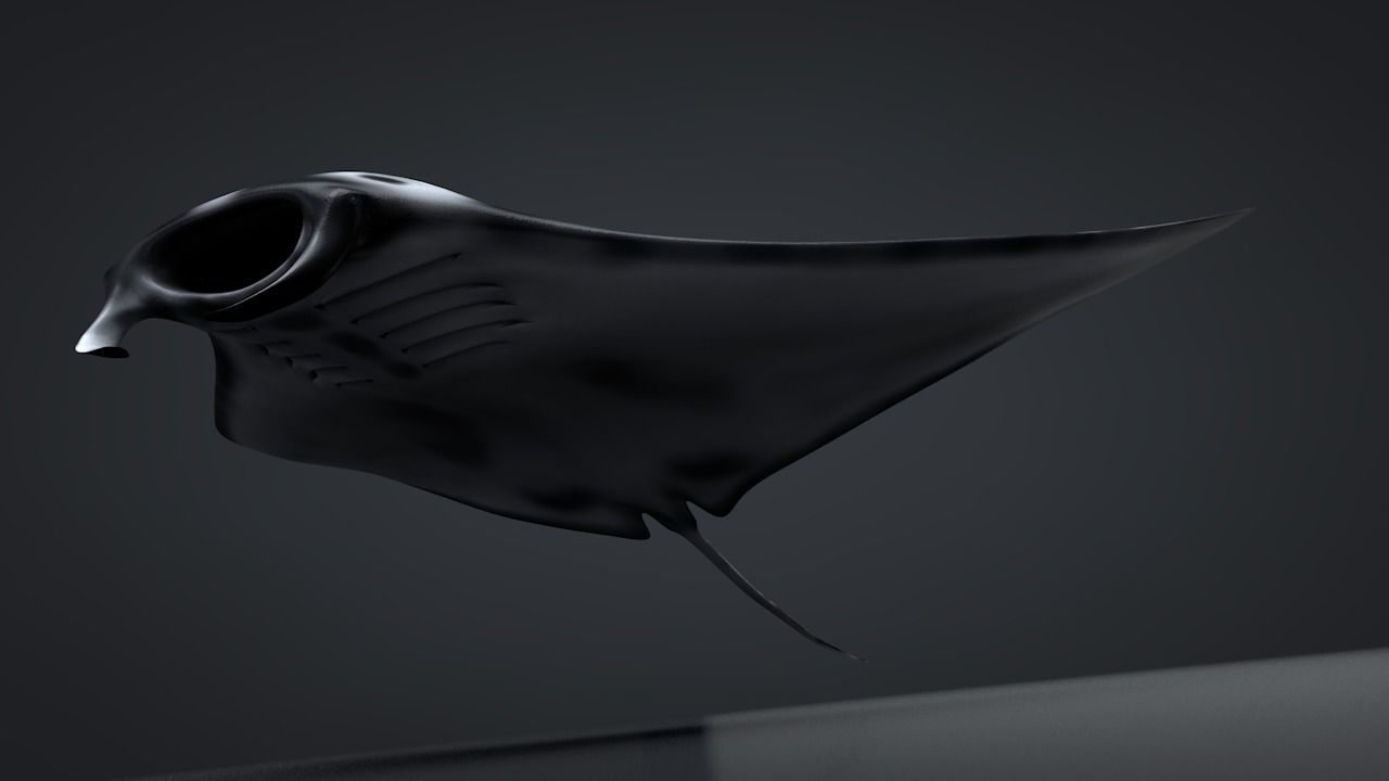 Manta Ray  Low-poly 3D model_16