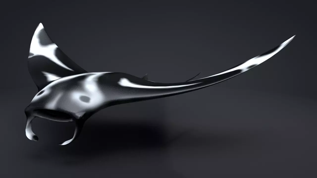 Manta Ray  Low-poly 3D model_0