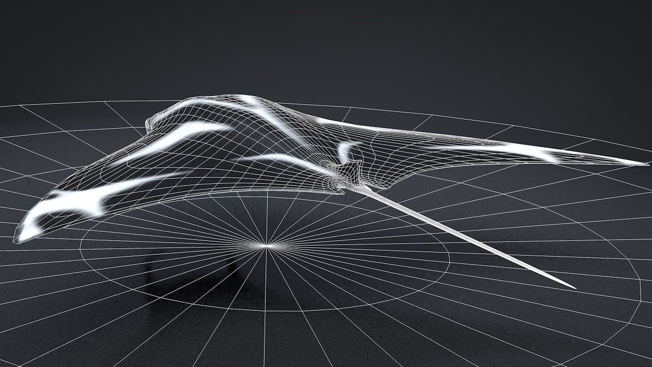 Manta Ray  Low-poly 3D model_33