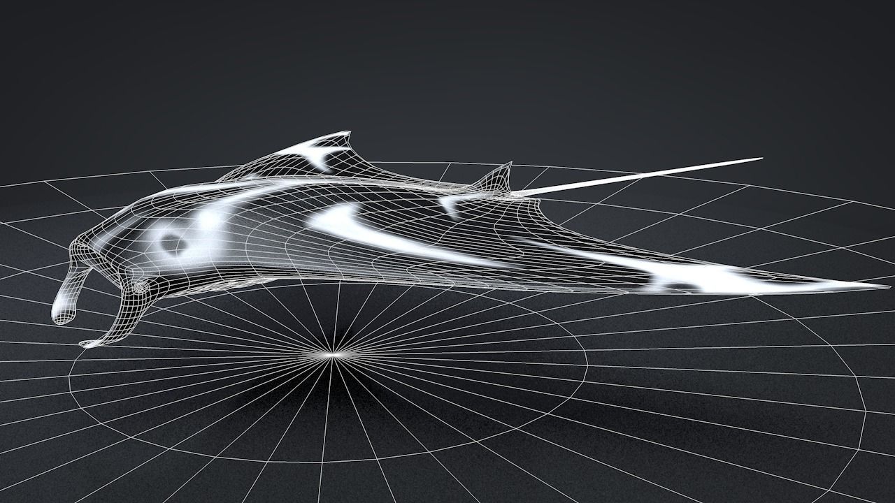 Manta Ray  Low-poly 3D model_30