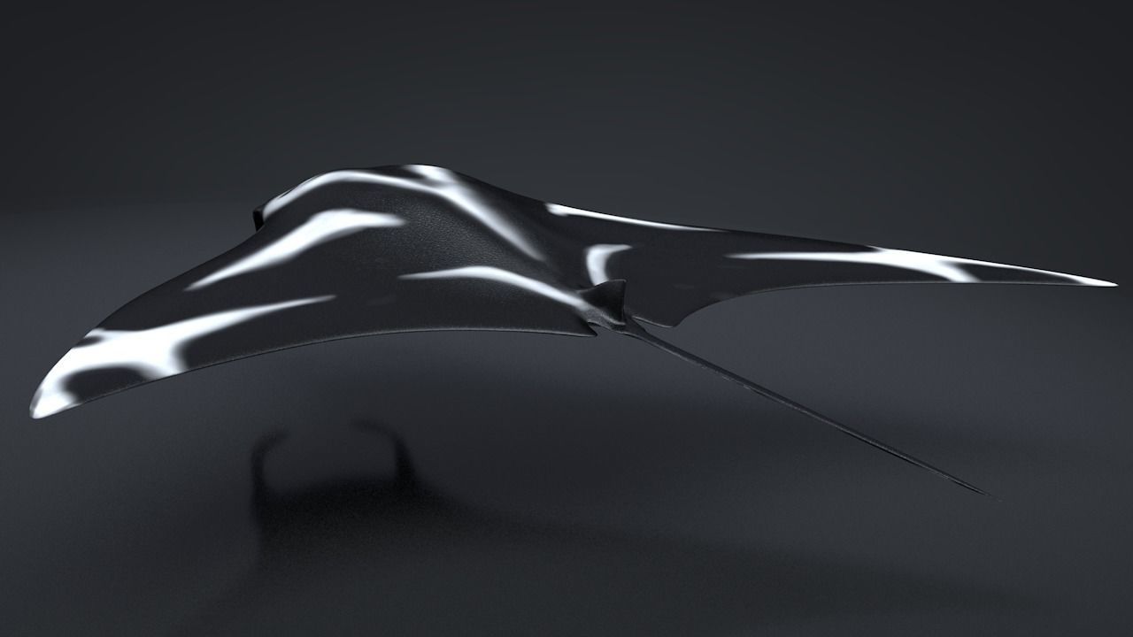Manta Ray  Low-poly 3D model_8