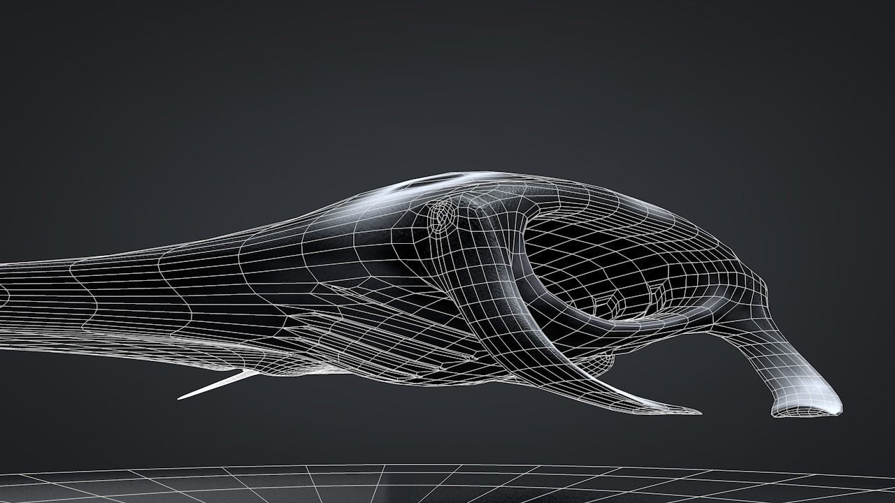 Manta Ray  Low-poly 3D model_39