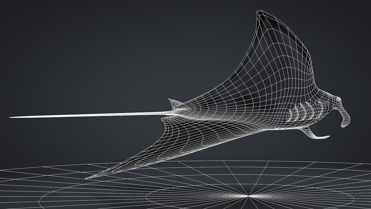 Manta Ray  Low-poly 3D model_34