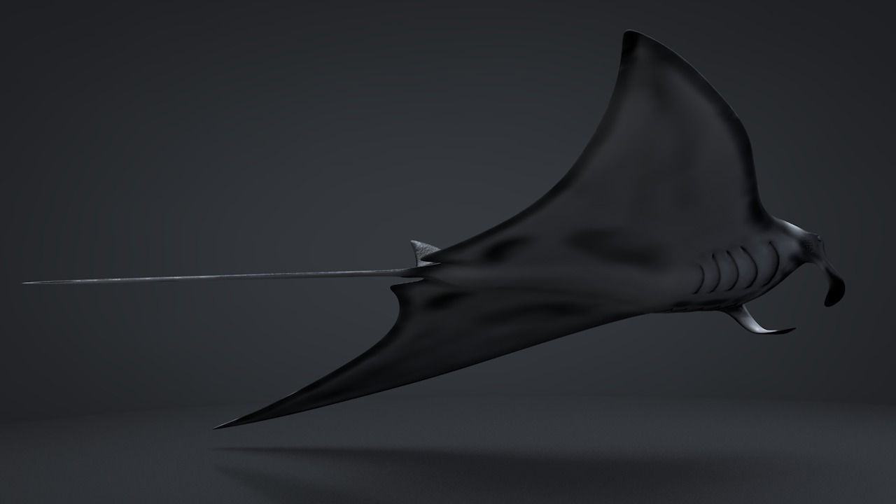 Manta Ray  Low-poly 3D model_10