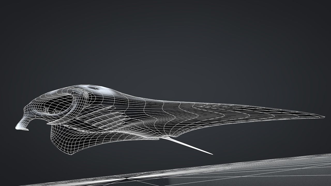 Manta Ray  Low-poly 3D model_29