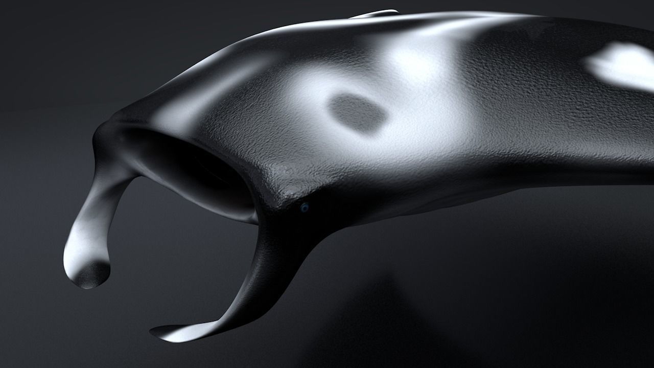 Manta Ray  Low-poly 3D model_6