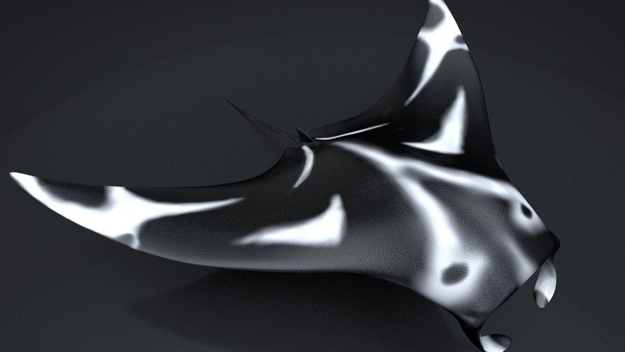 Manta Ray  Low-poly 3D model_27