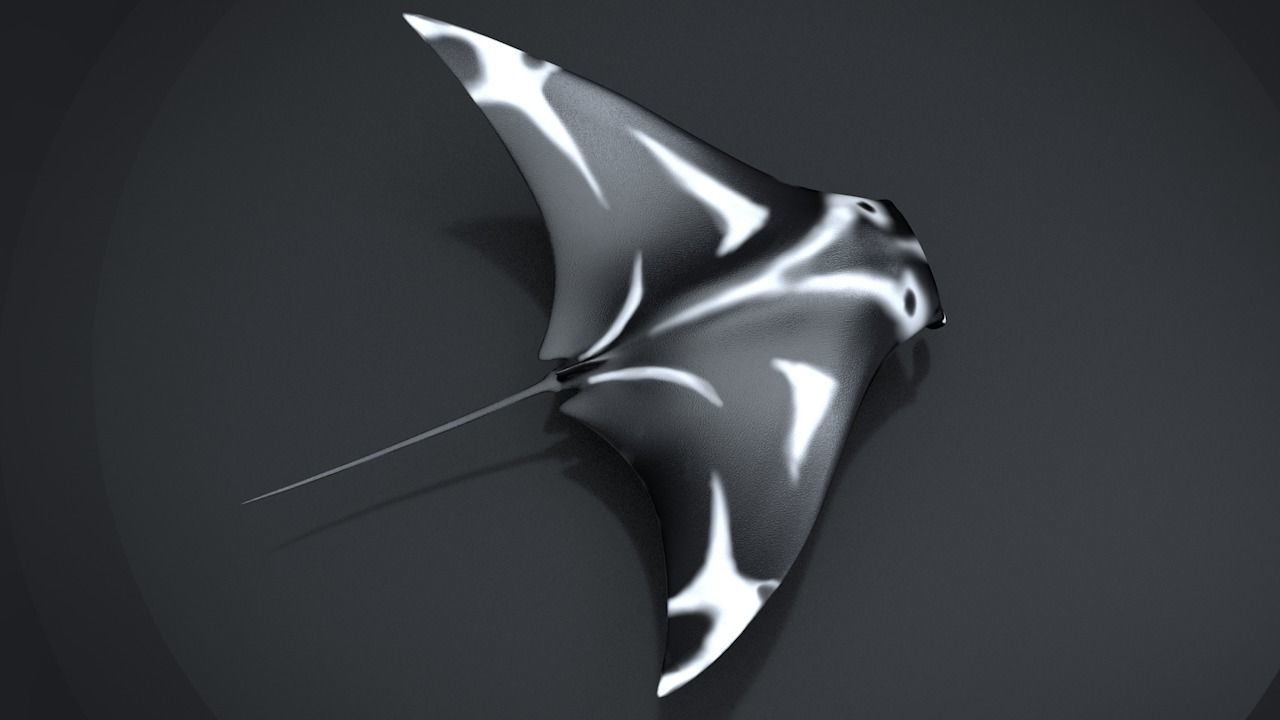 Manta Ray  Low-poly 3D model_23
