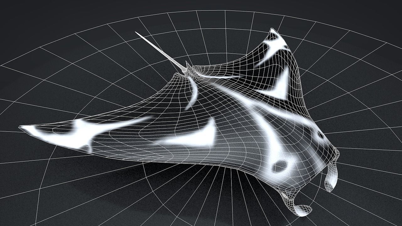 Manta Ray  Low-poly 3D model_40