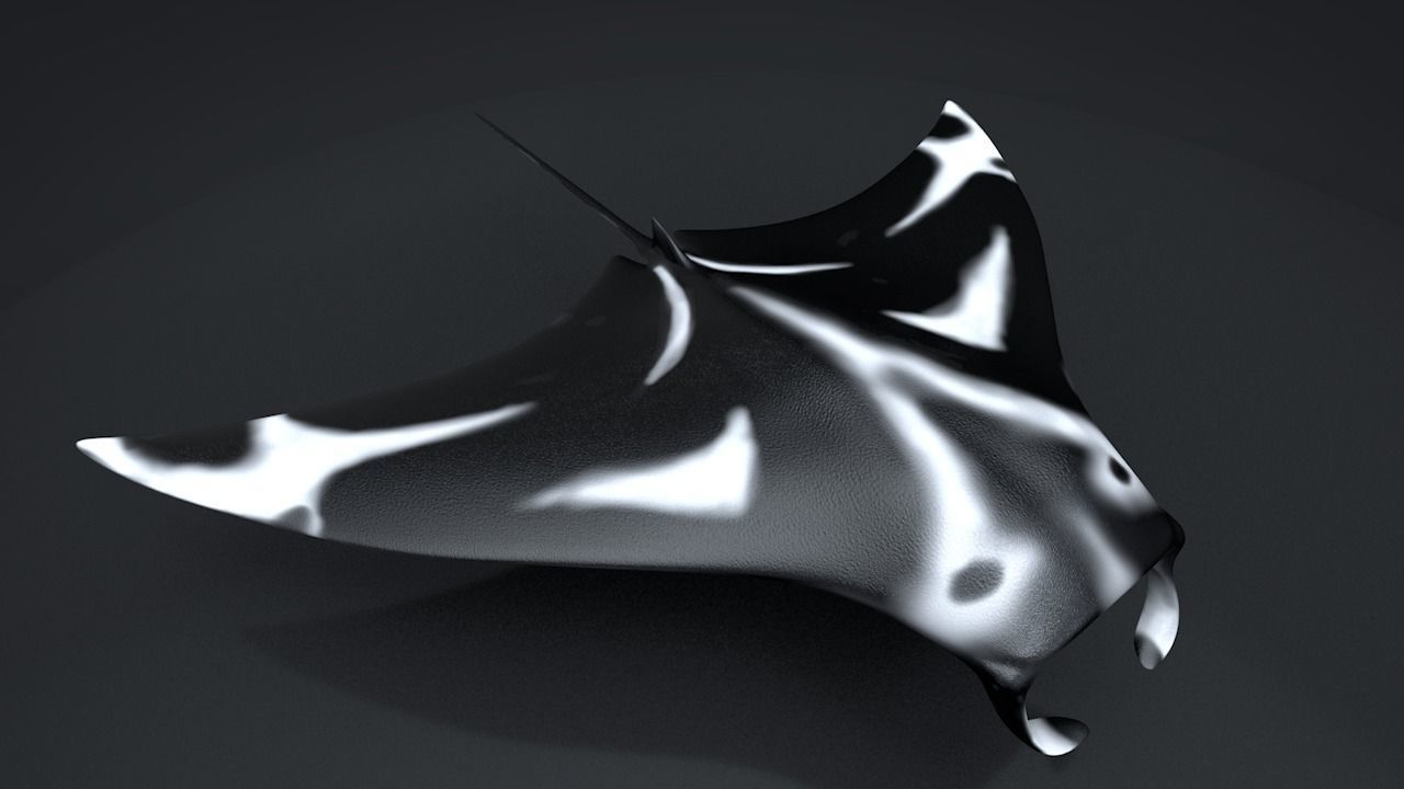 Manta Ray  Low-poly 3D model_15
