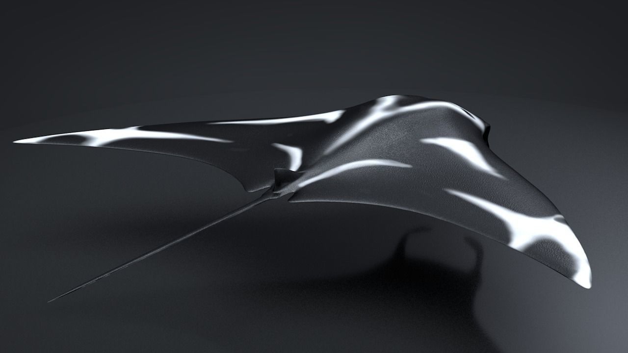 Manta Ray  Low-poly 3D model_7