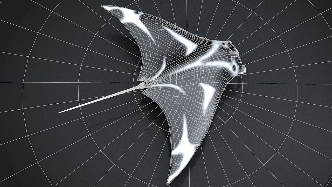 Manta Ray  Low-poly 3D model_36