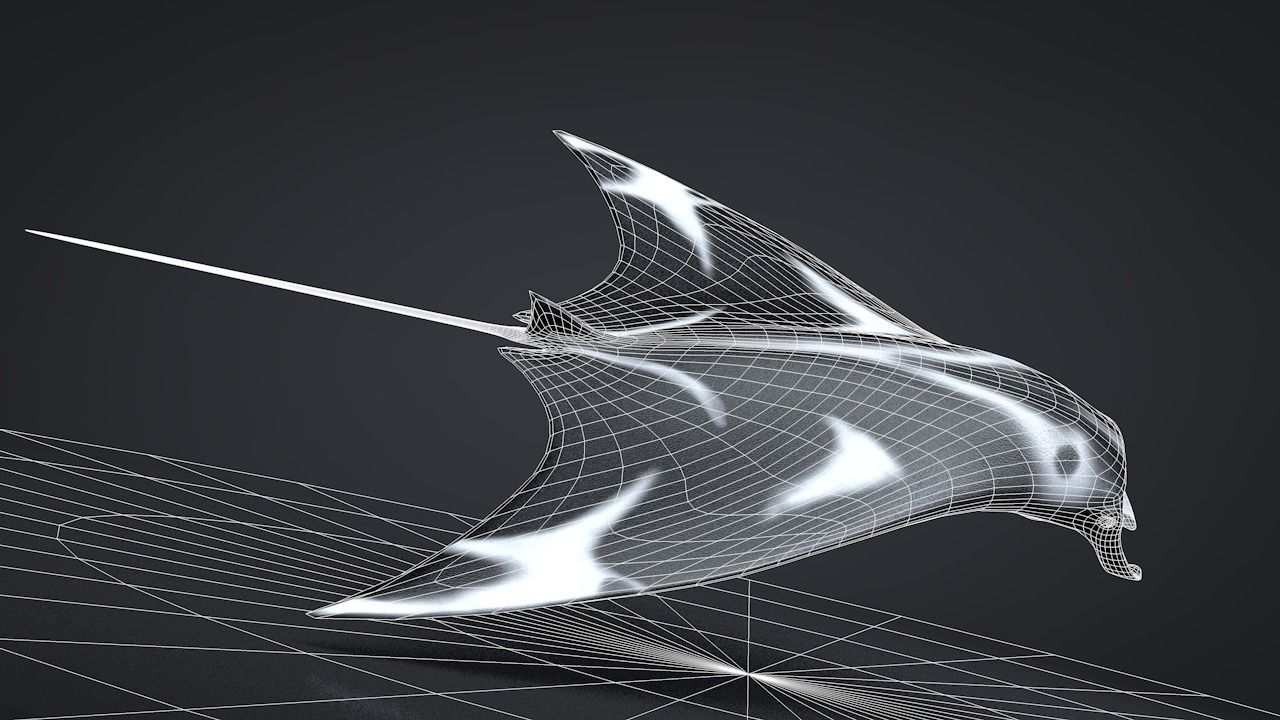 Manta Ray  Low-poly 3D model_35