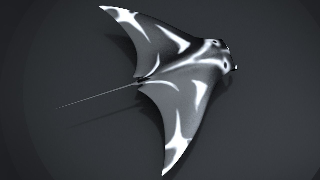 Manta Ray  Low-poly 3D model_11