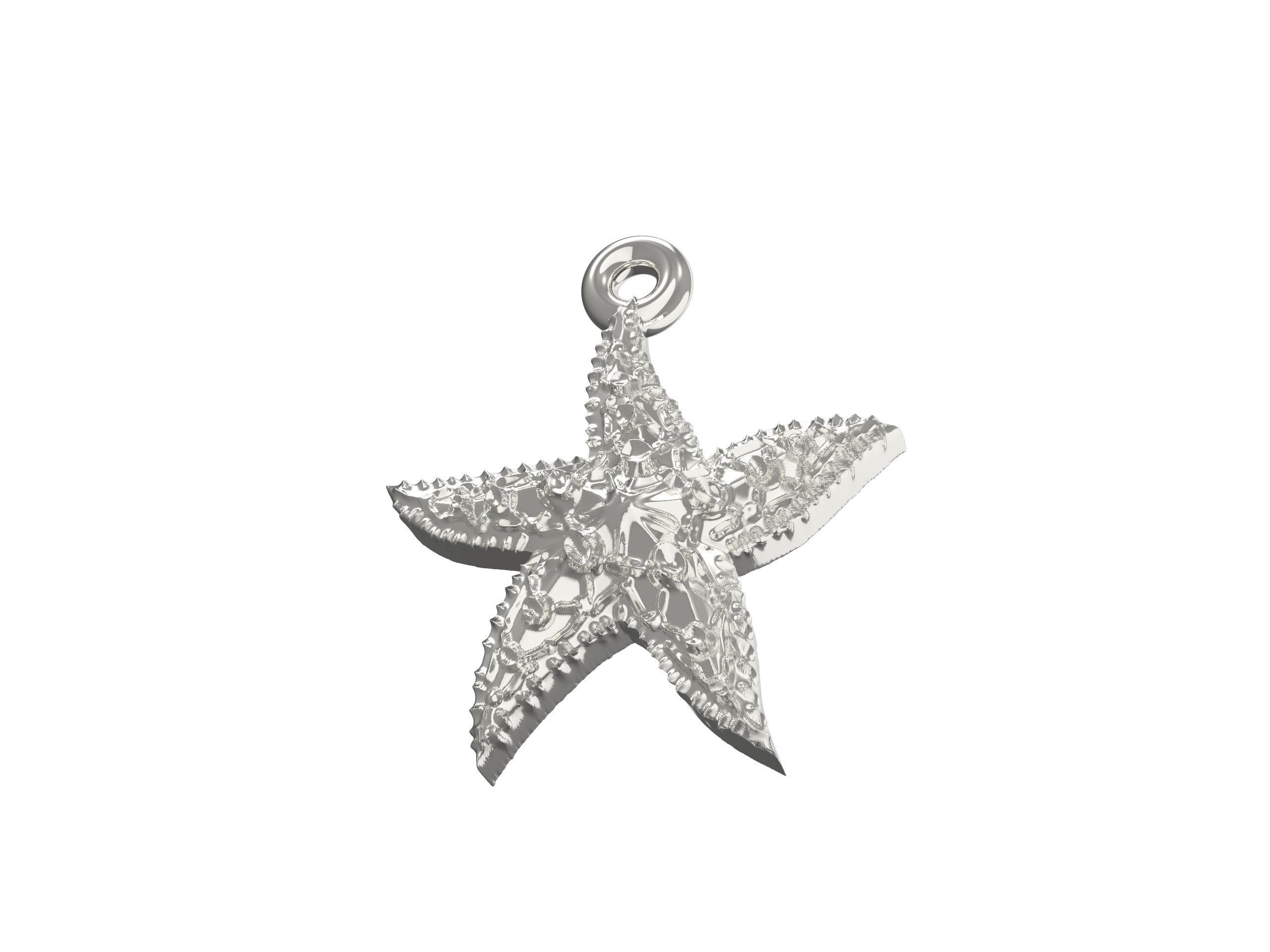 Beautiful Sea star   3D print model_11