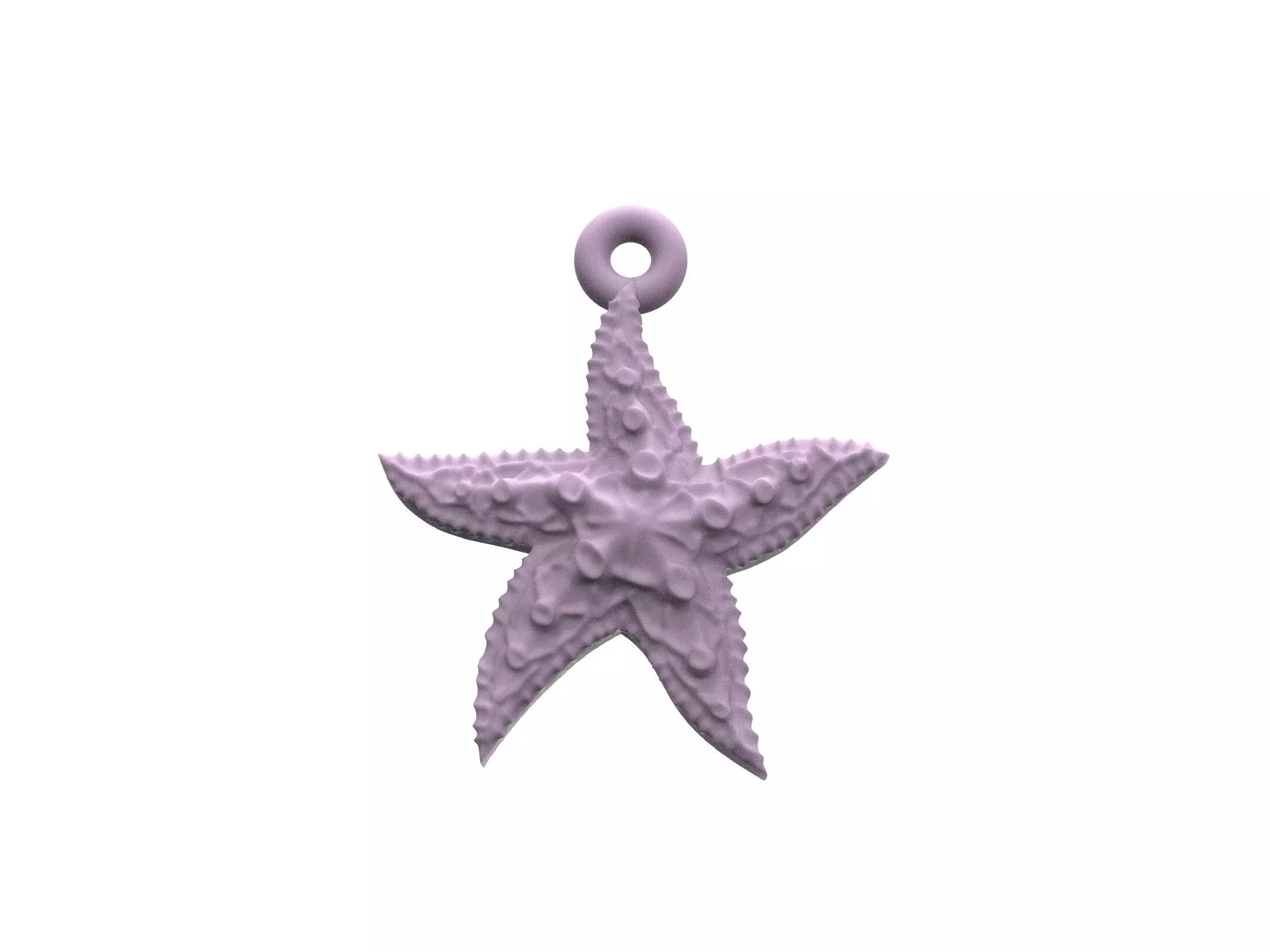 Beautiful Sea star   3D print model_0