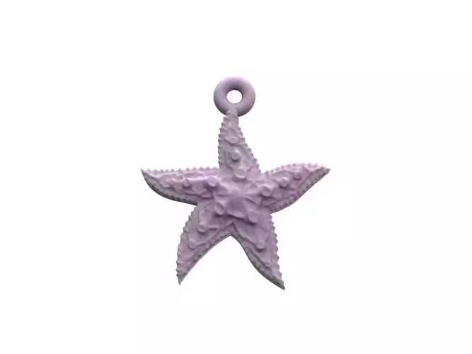 Beautiful Sea star   3D print model