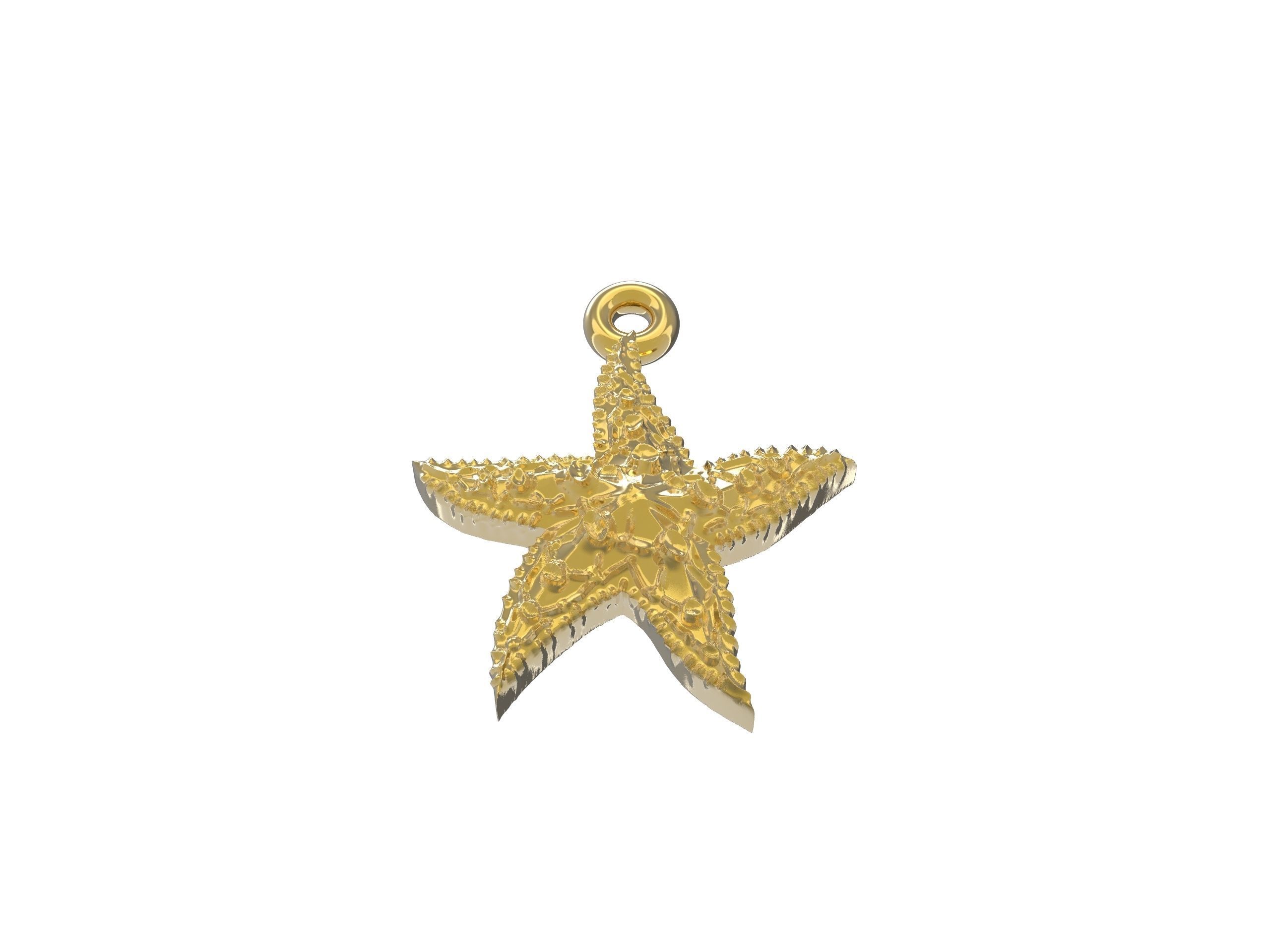 Beautiful Sea star   3D print model_7