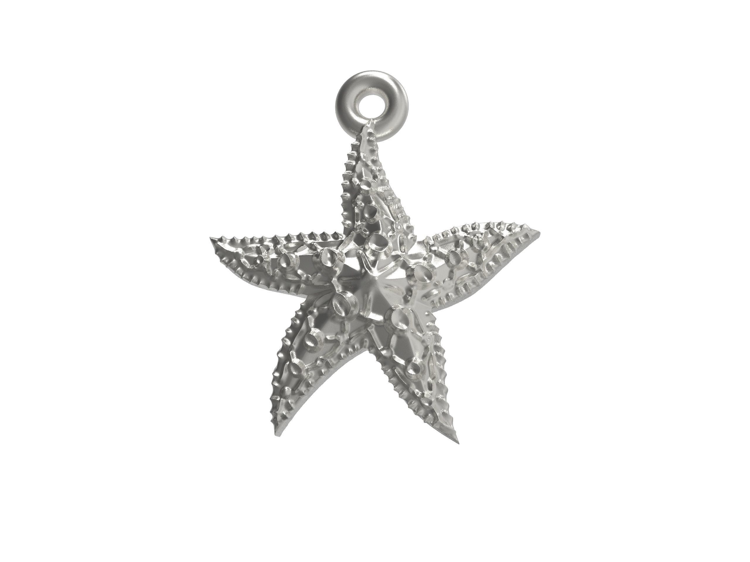 Beautiful Sea star   3D print model_6