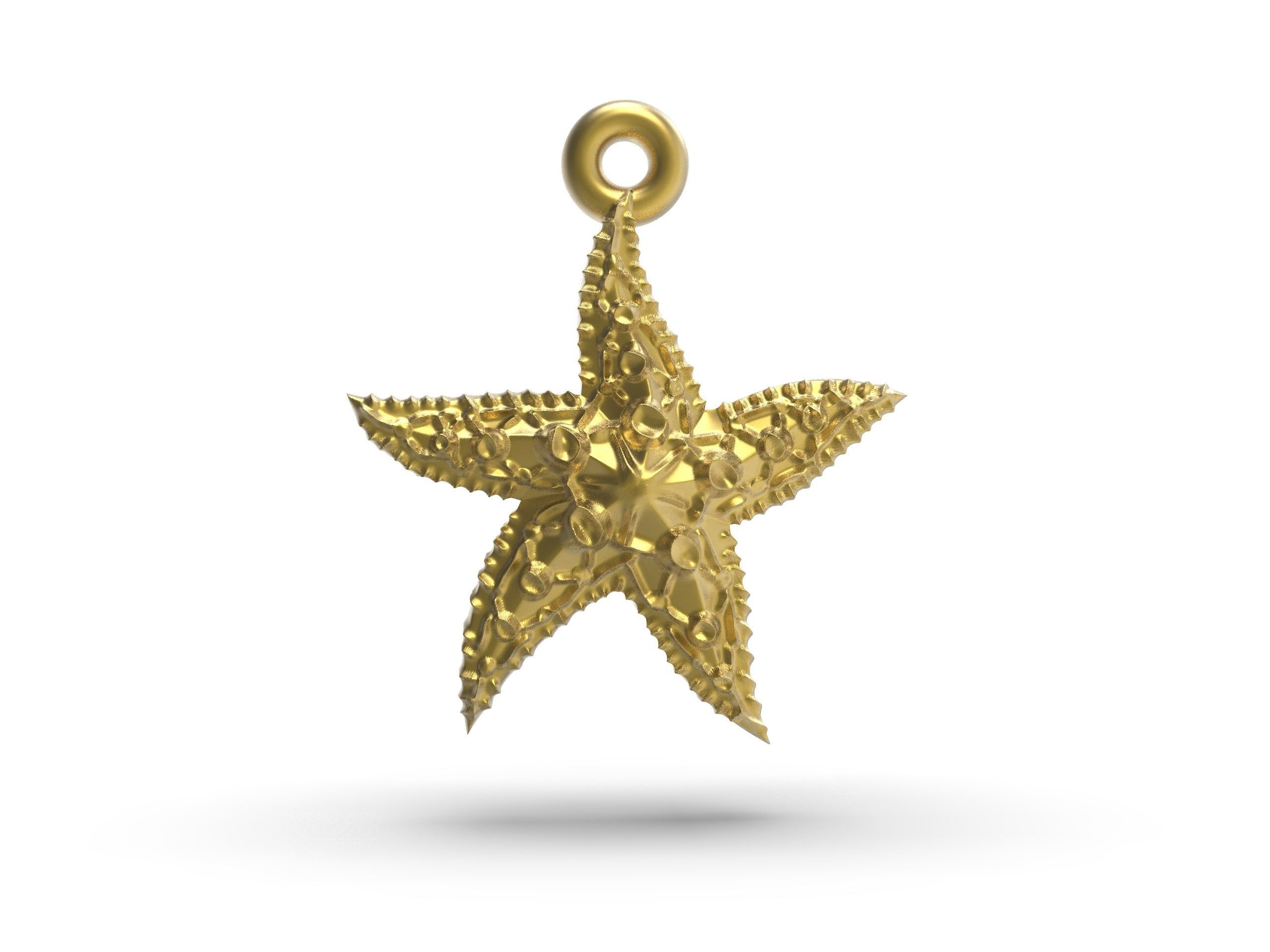 Beautiful Sea star   3D print model_3