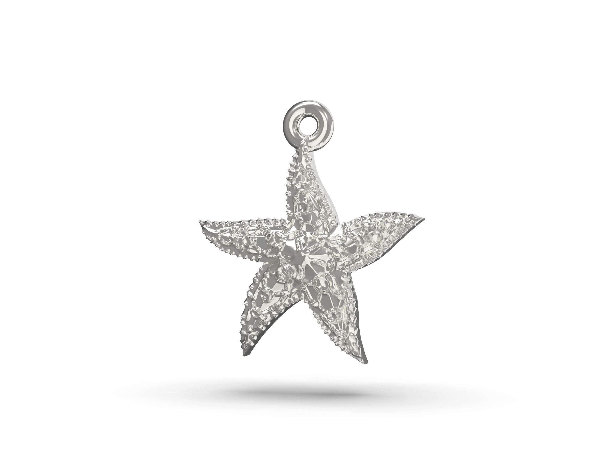 Beautiful Sea star   3D print model_12