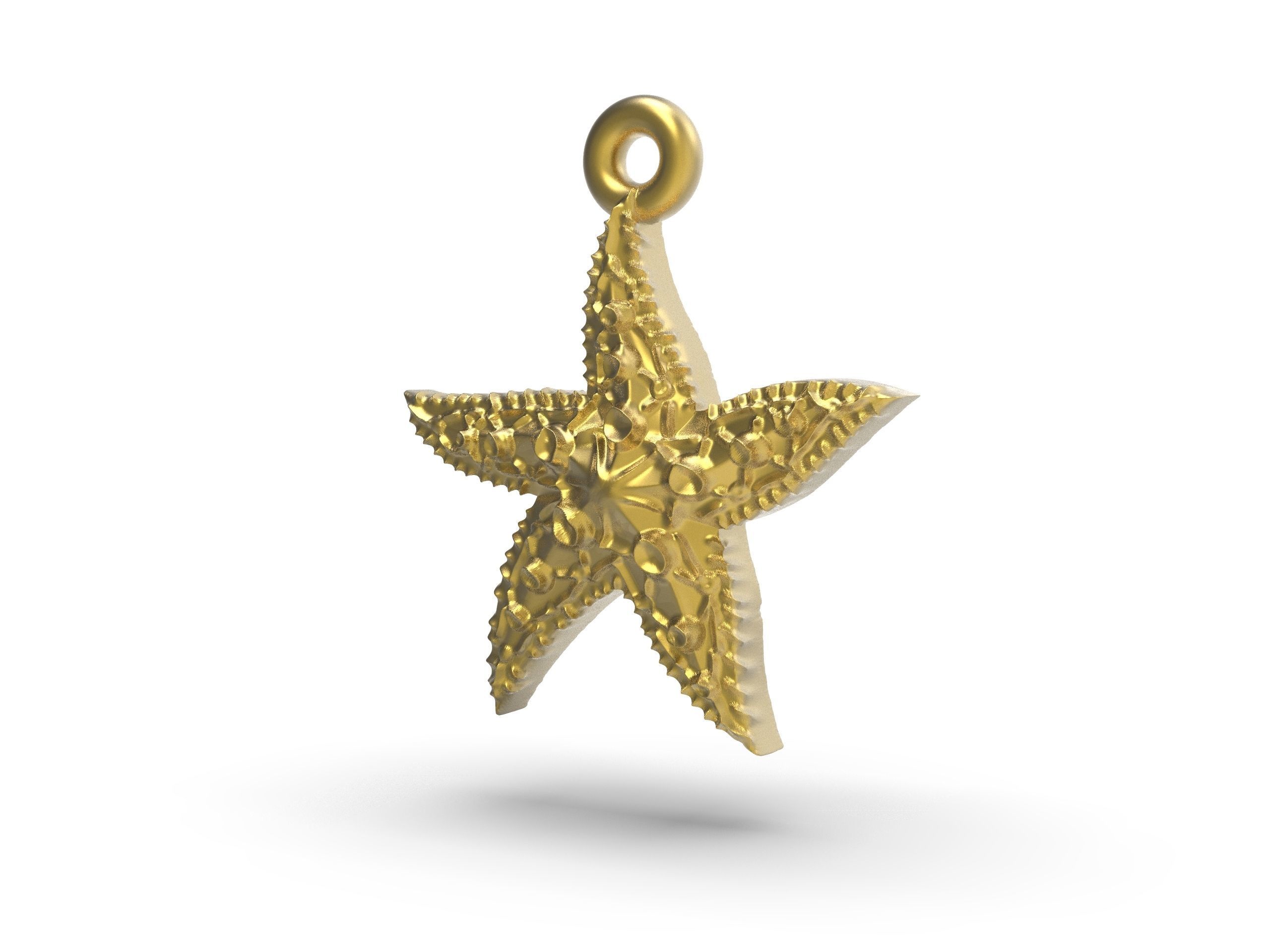 Beautiful Sea star   3D print model_1