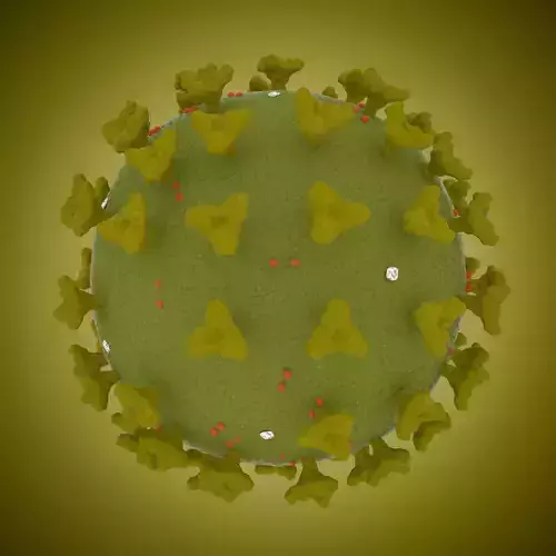 corona virus COVID-19