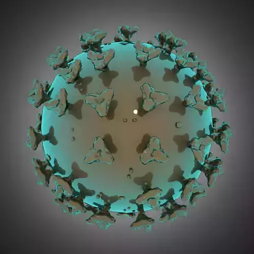 coron avirus COVID-19