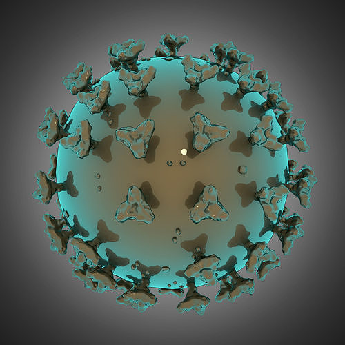 coron avirus COVID-19 3D model