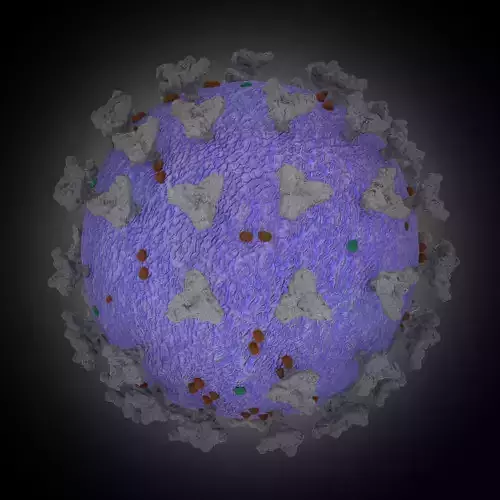 corona virus COVID-19