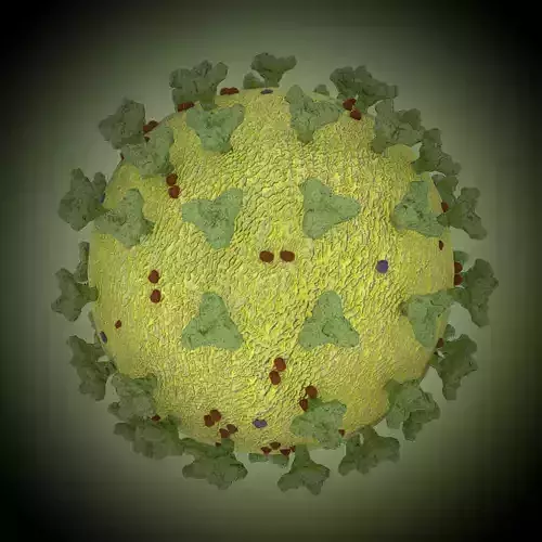 corona virus COVID-19