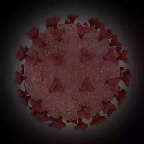 coron avirus COVID-19