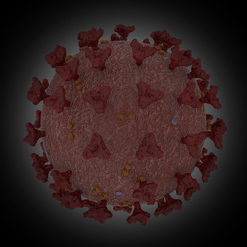 coron avirus COVID-19 3D model