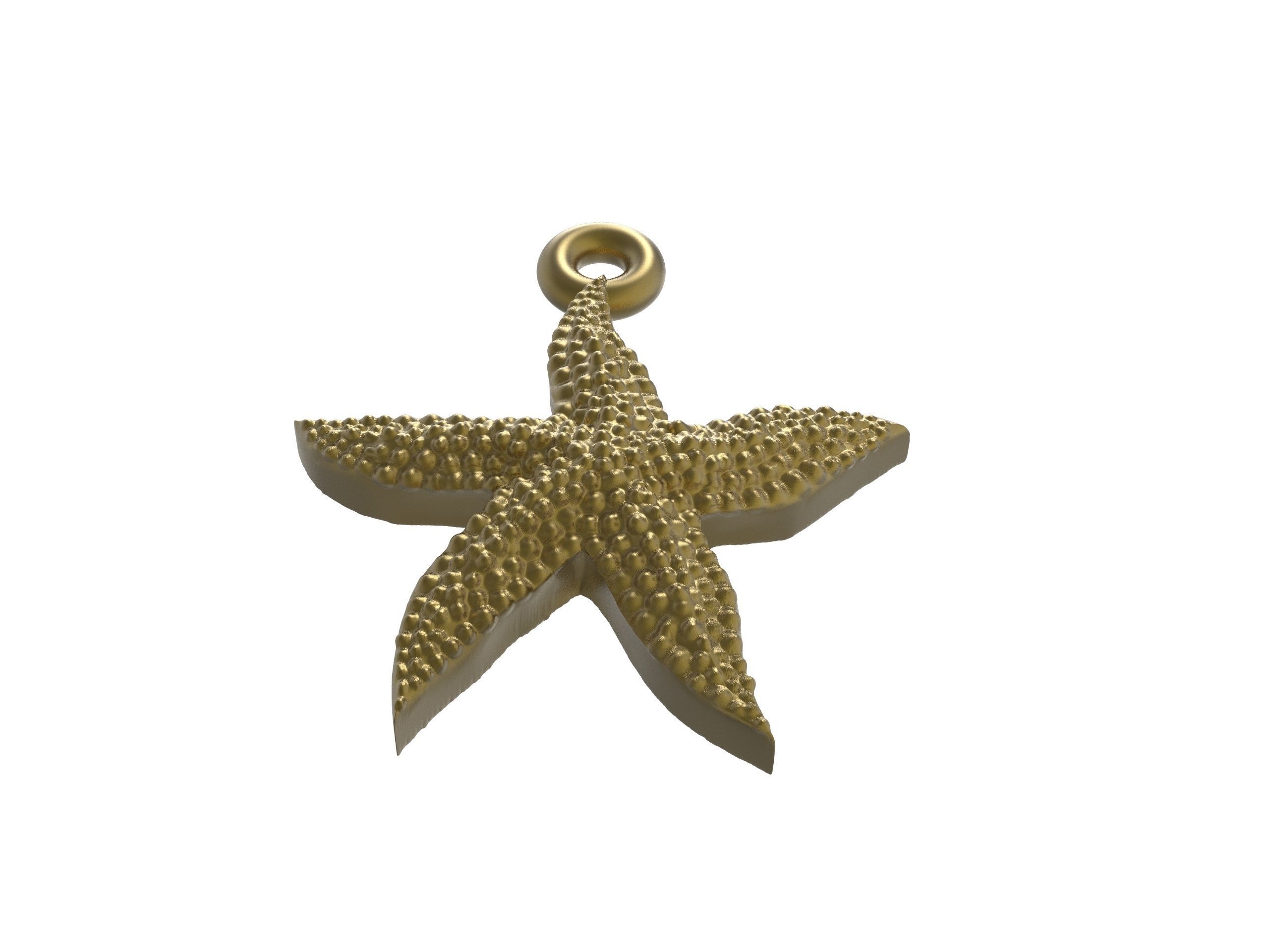 Starfish superb 3D print model_11