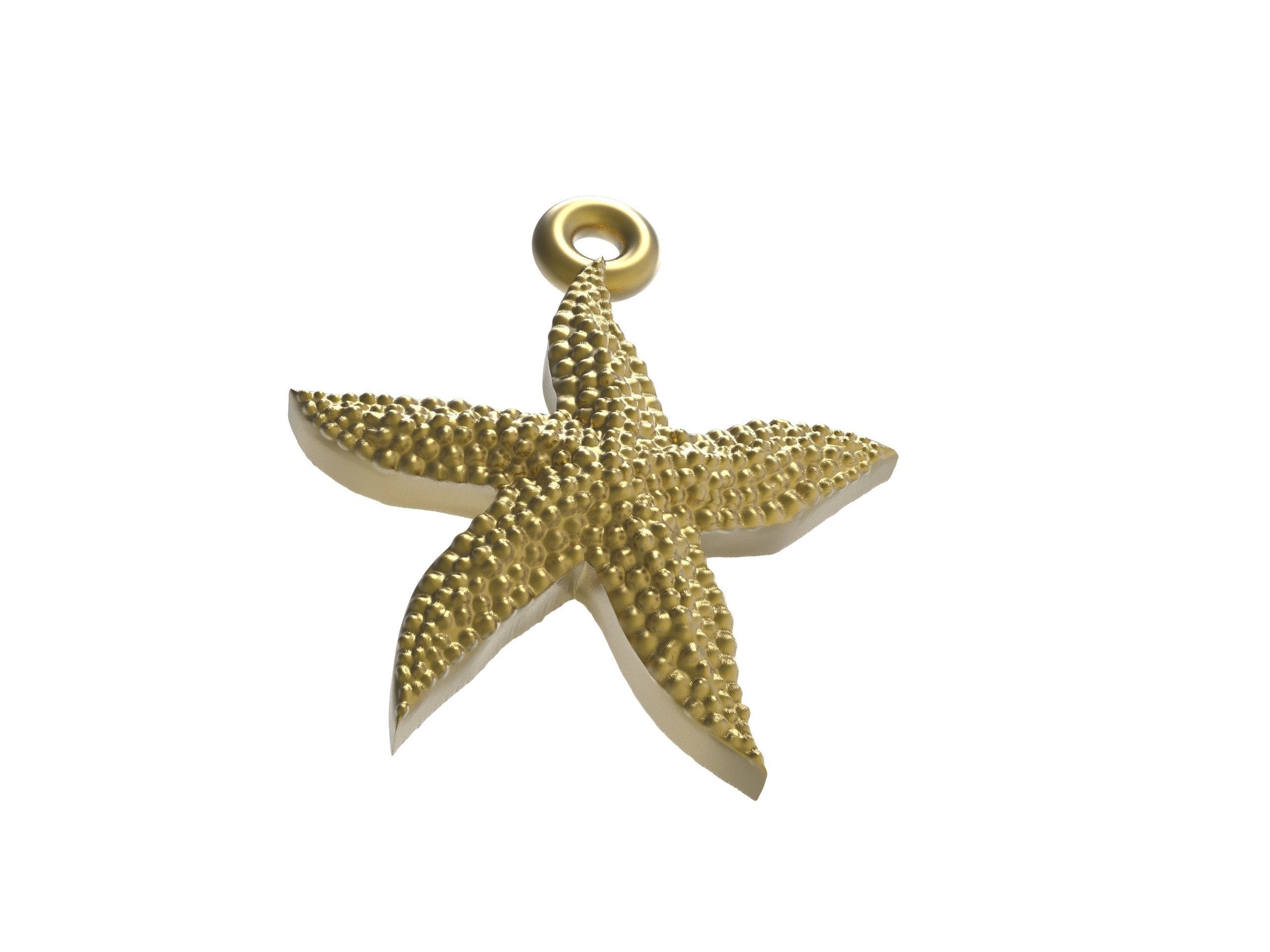 Starfish superb 3D print model_14
