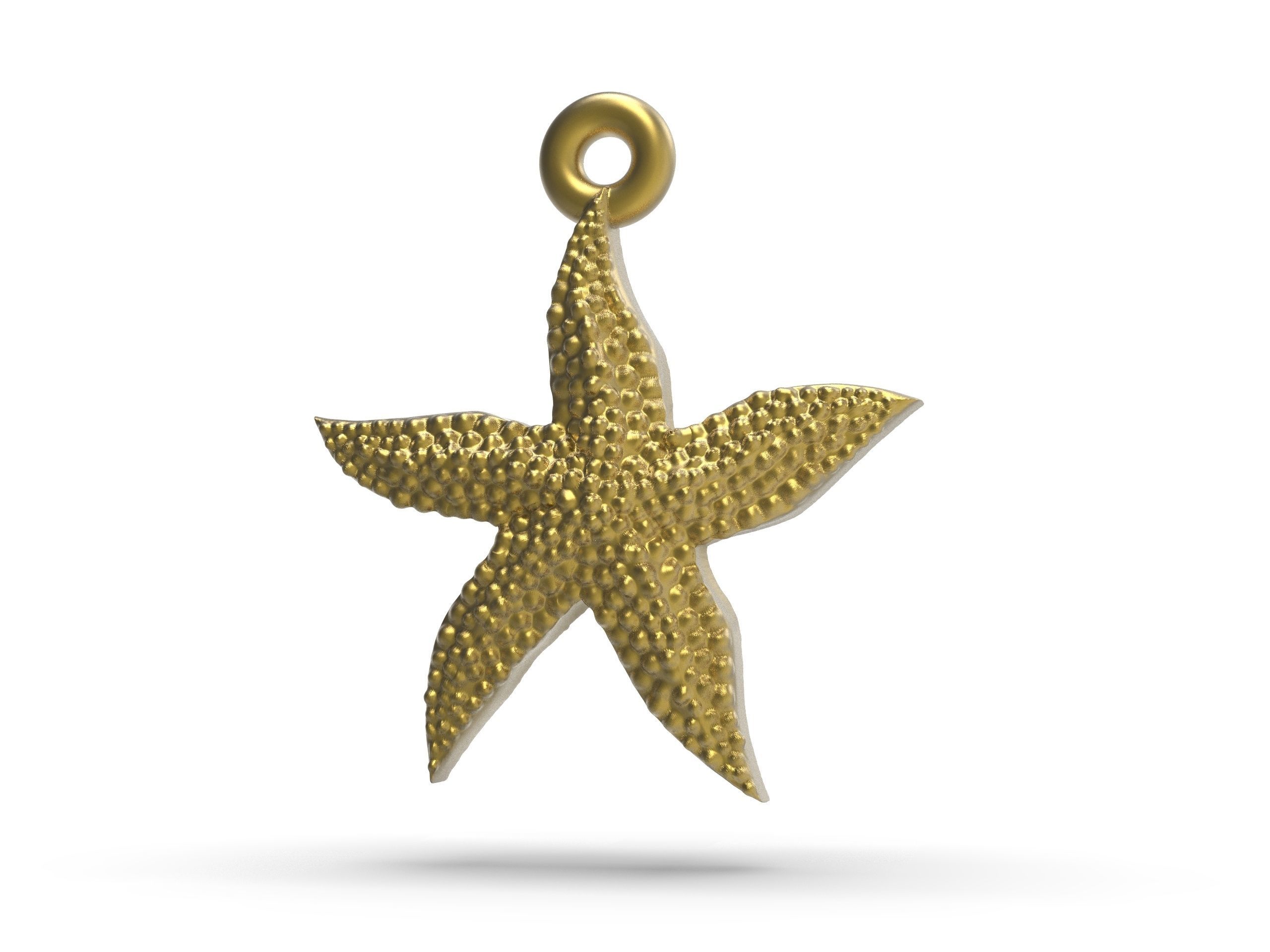 Starfish superb 3D print model_12