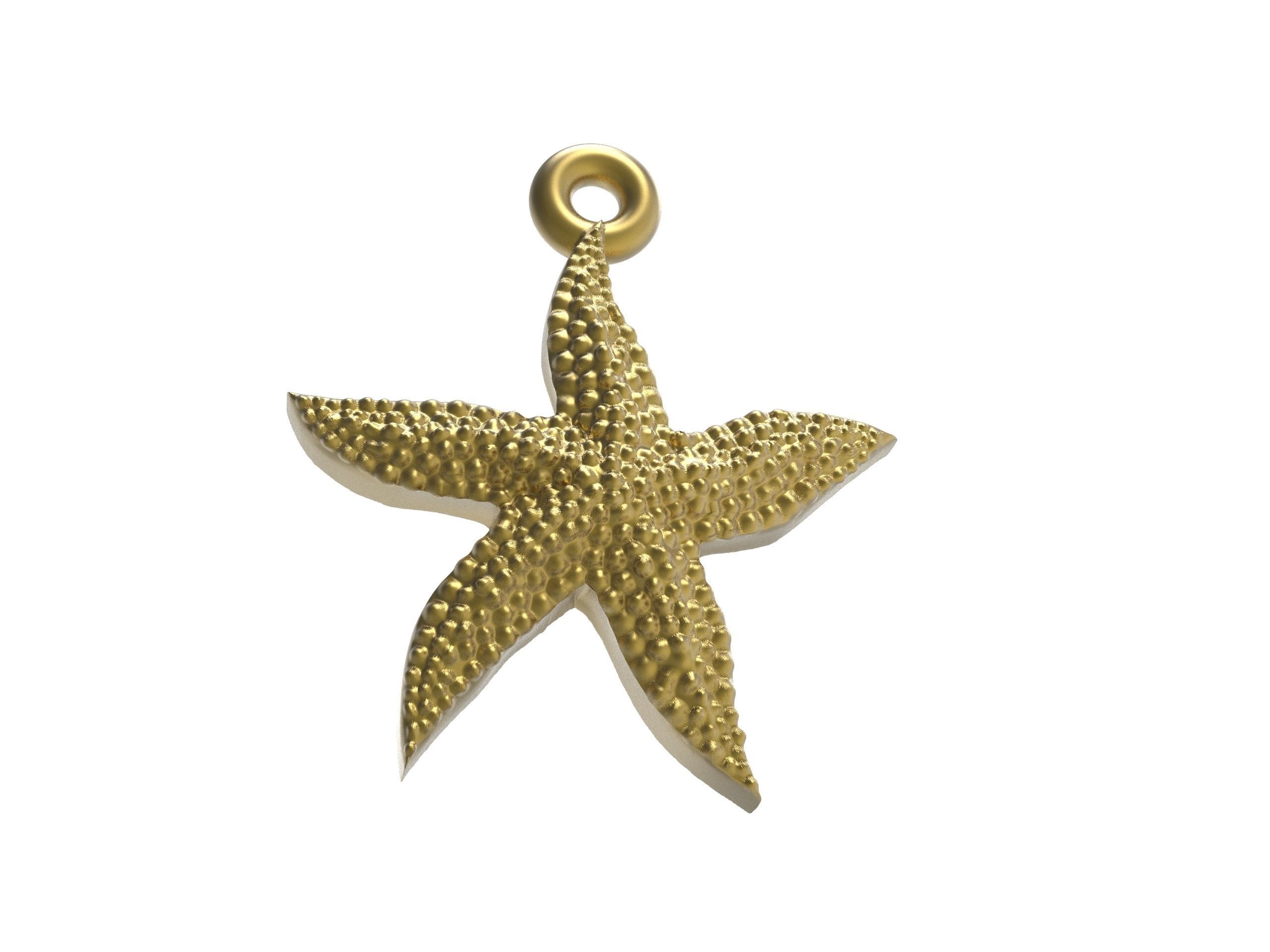 Starfish superb 3D print model_13