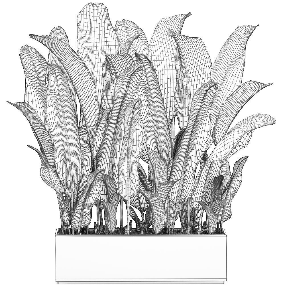 Decorative banana in a white flowerpot 539 3D model_7