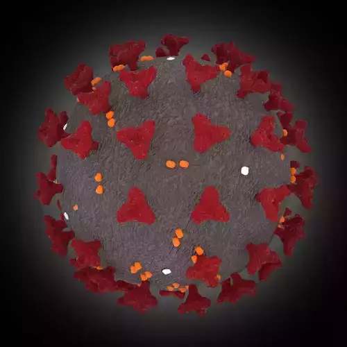 corona virus COVID-19