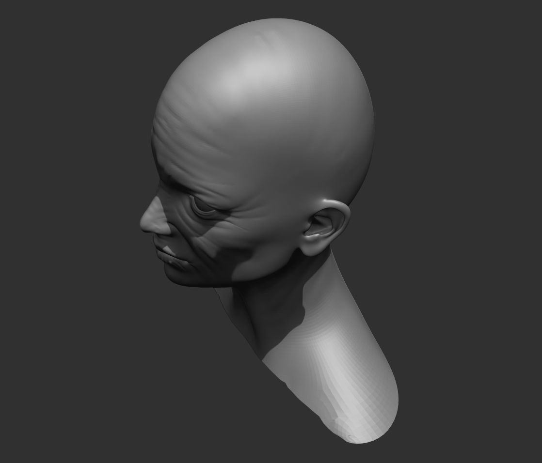 Old Female Head Realistic Base Mesh 3D Model 3D model_10