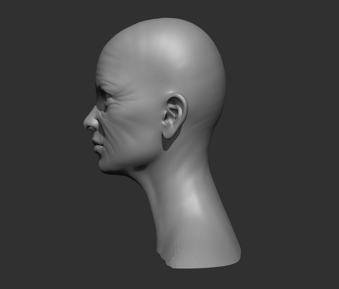 Old Female Head Realistic Base Mesh 3D Model 3D model_3