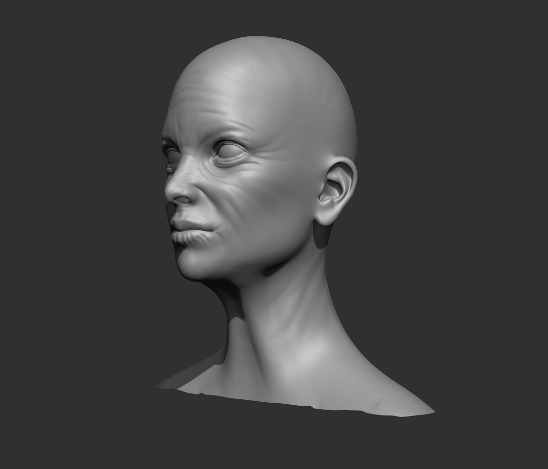 Old Female Head Realistic Base Mesh 3D Model 3D model_16