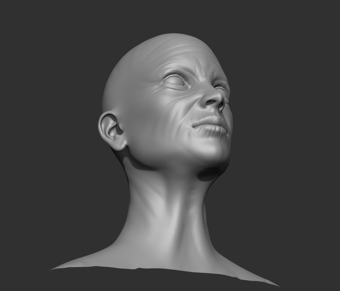 Old Female Head Realistic Base Mesh 3D Model 3D model_9
