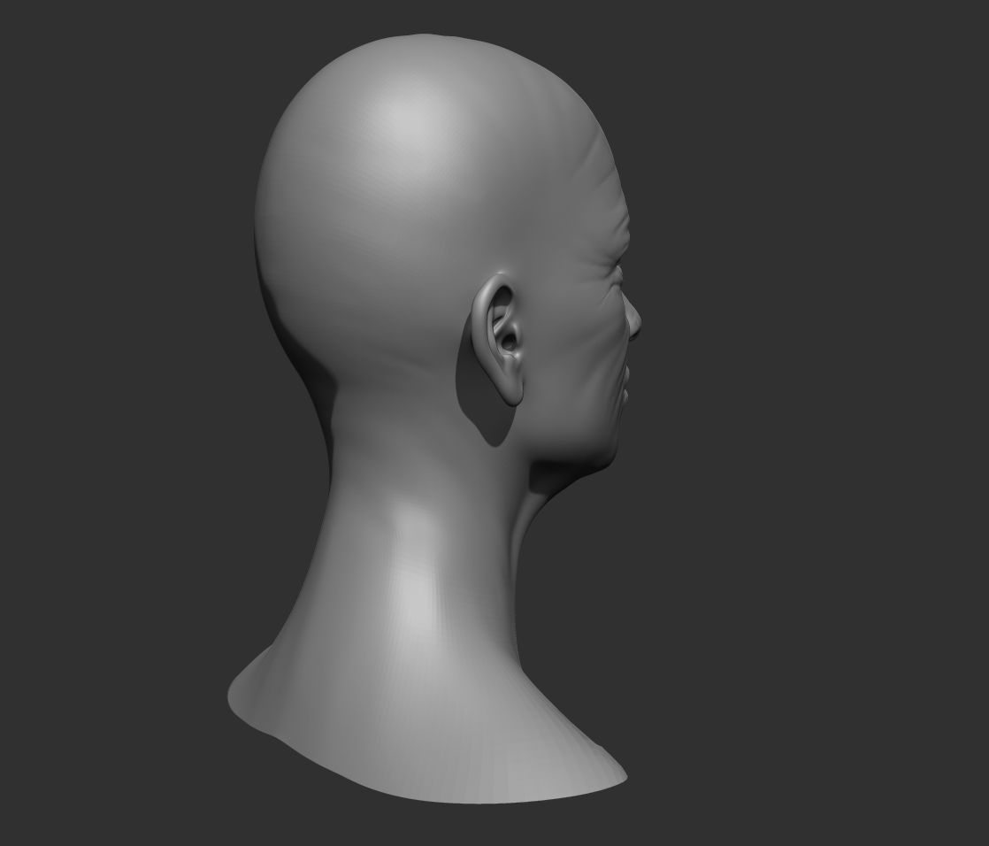Old Female Head Realistic Base Mesh 3D Model 3D model_18