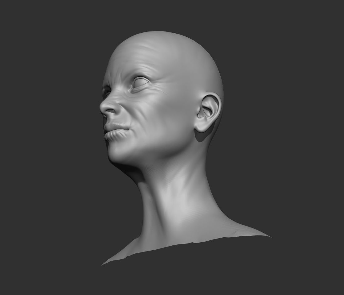 Old Female Head Realistic Base Mesh 3D Model 3D model_20