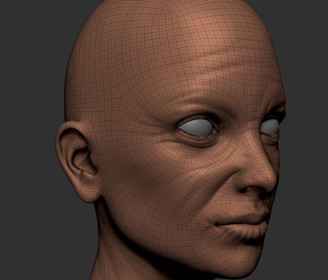 Old Female Head Realistic Base Mesh 3D Model 3D model_5