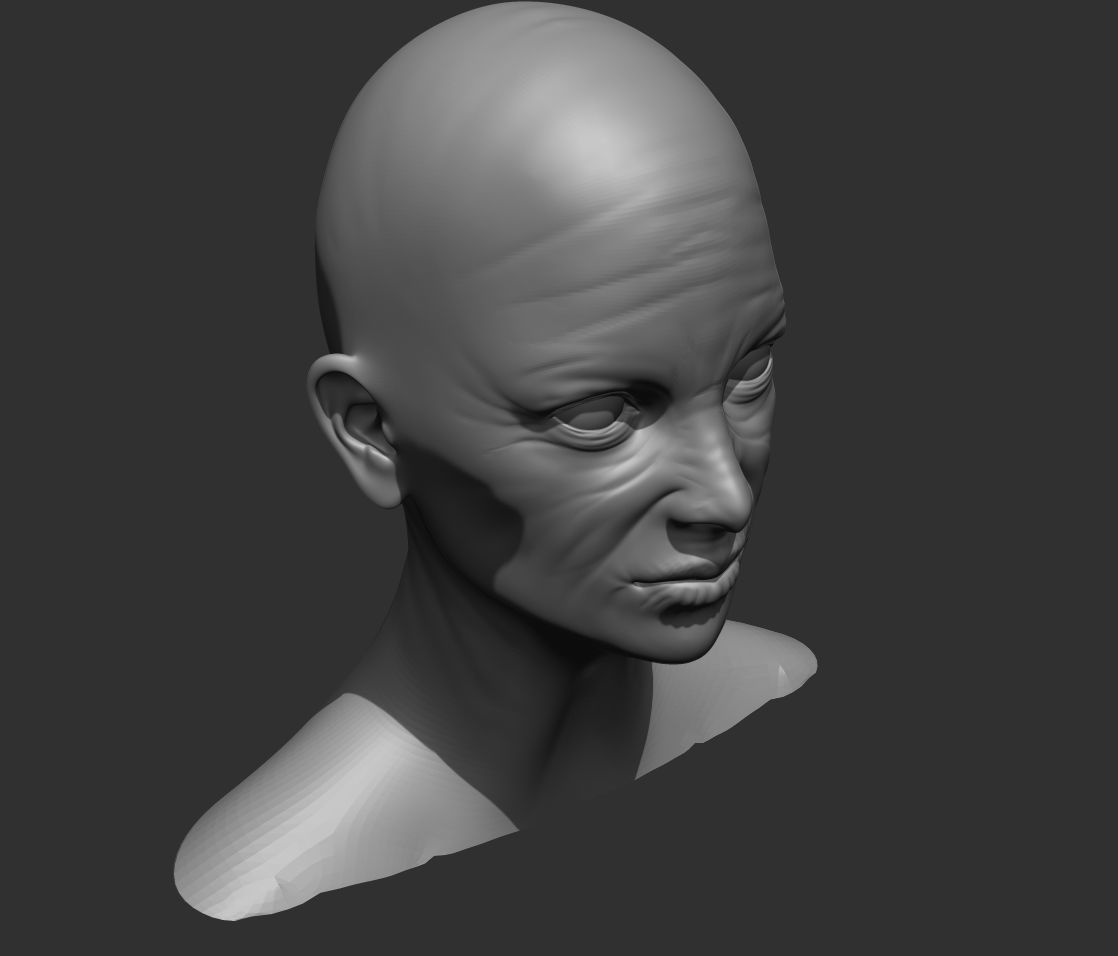 Old Female Head Realistic Base Mesh 3D Model 3D model_11