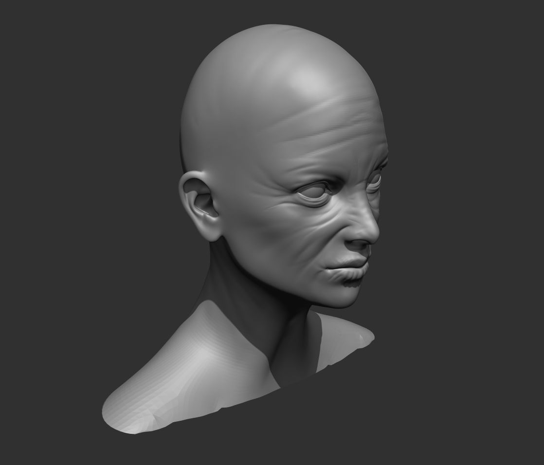 Old Female Head Realistic Base Mesh 3D Model 3D model_19
